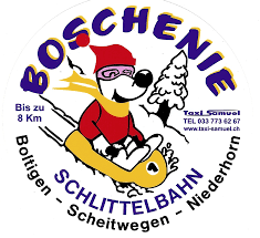 logo-boschenie.png